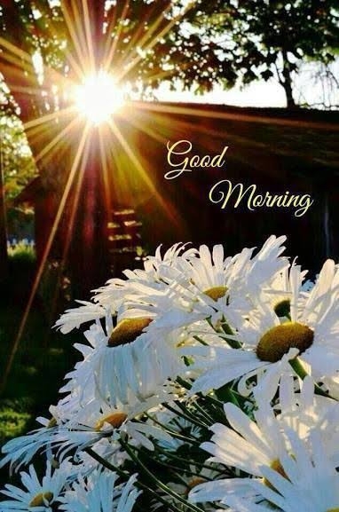 Morning ❤️