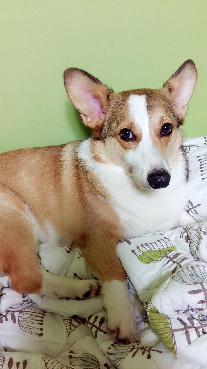 my cutie♡