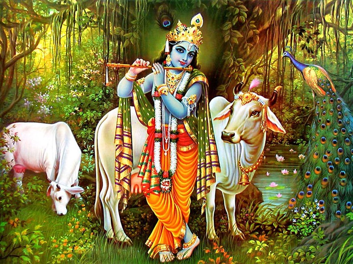 Jai Shri Krishna