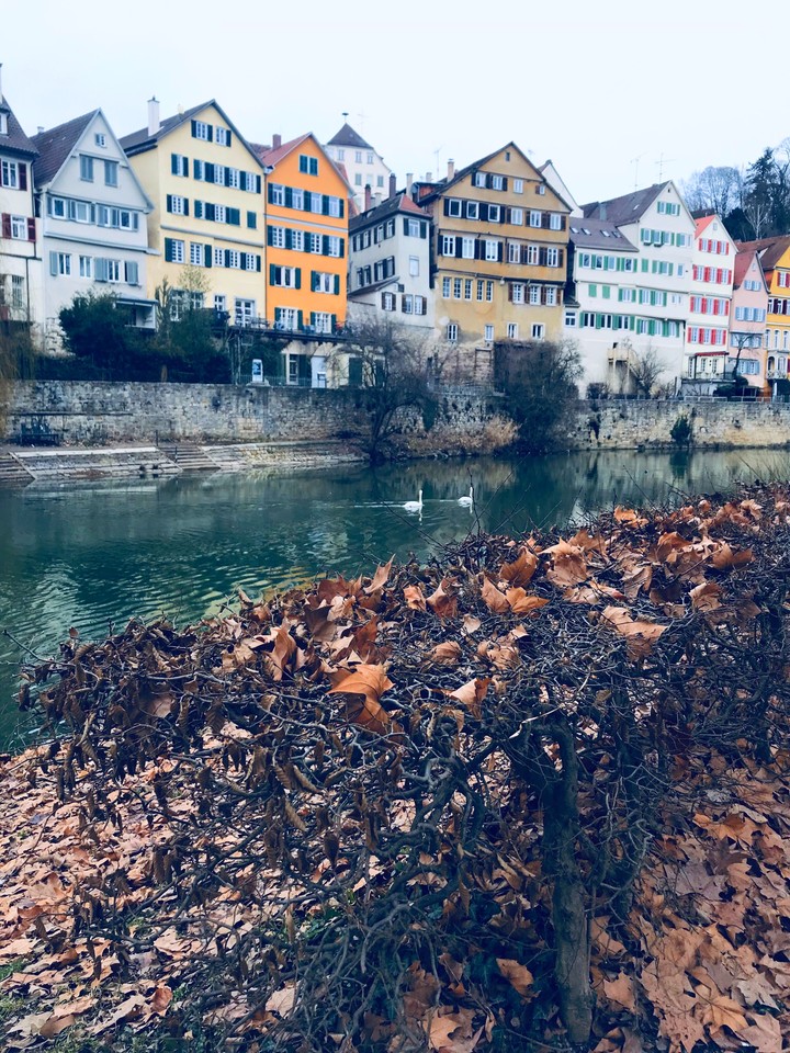 winter melancholy