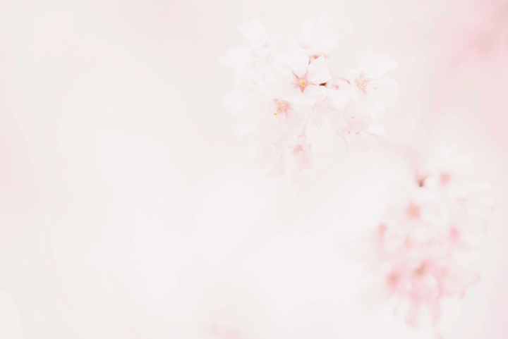 ふんわり
