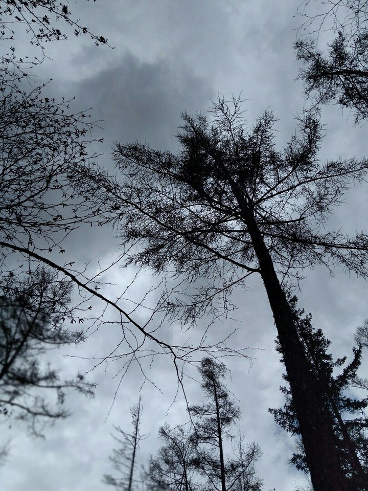 sky