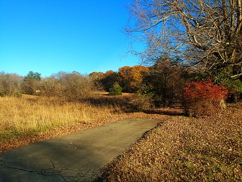 Last Days of Autumn