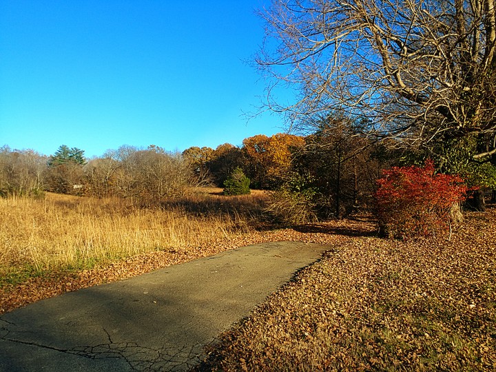 Last Days of Autumn