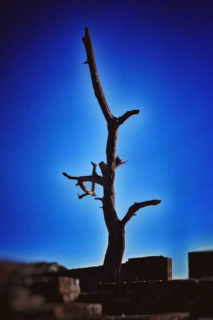 Lonely
