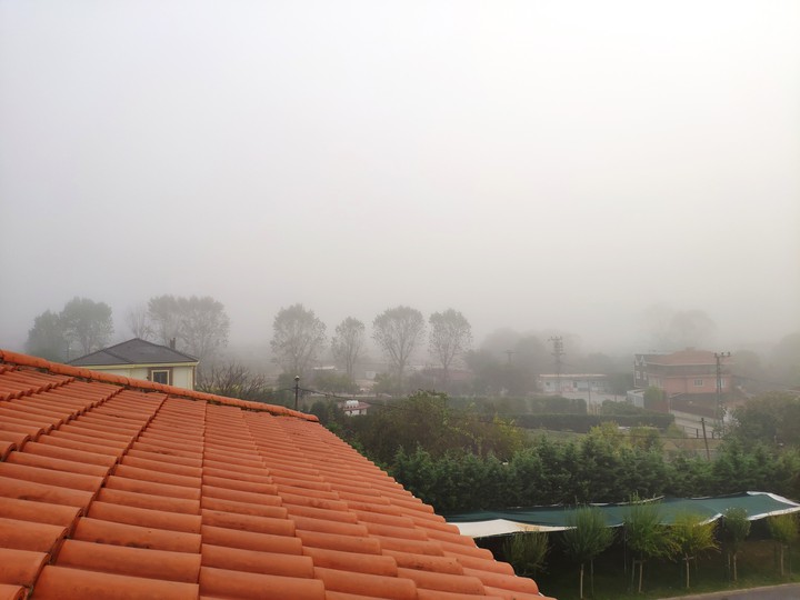fog