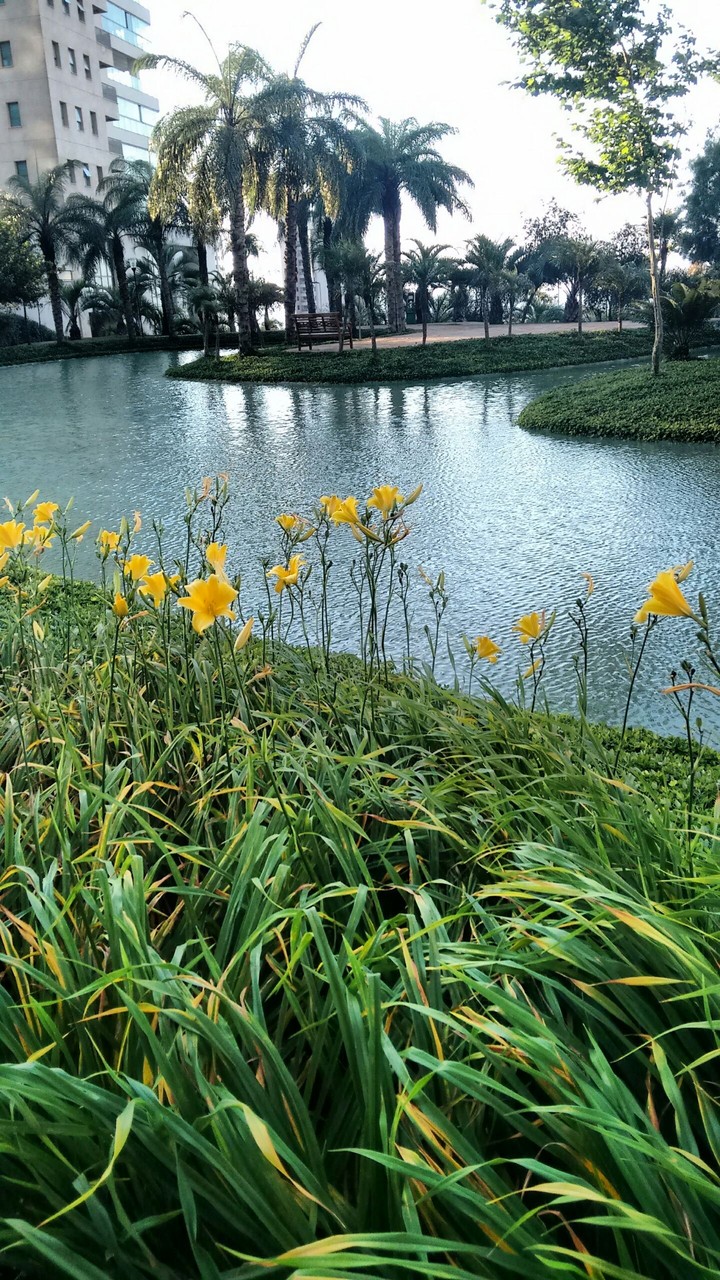 lagoinha