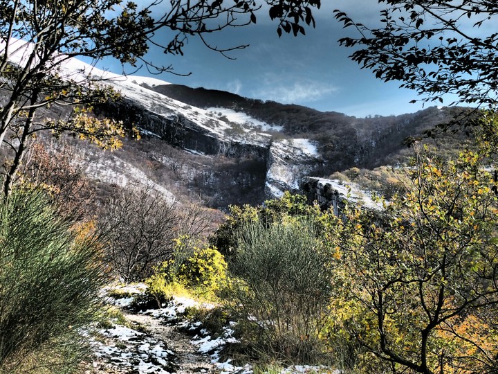 Walking from autumn to winter (02)
