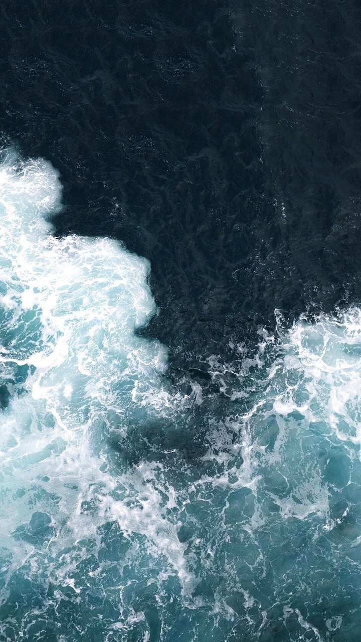 W A V E S