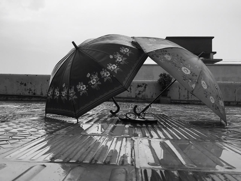 rain