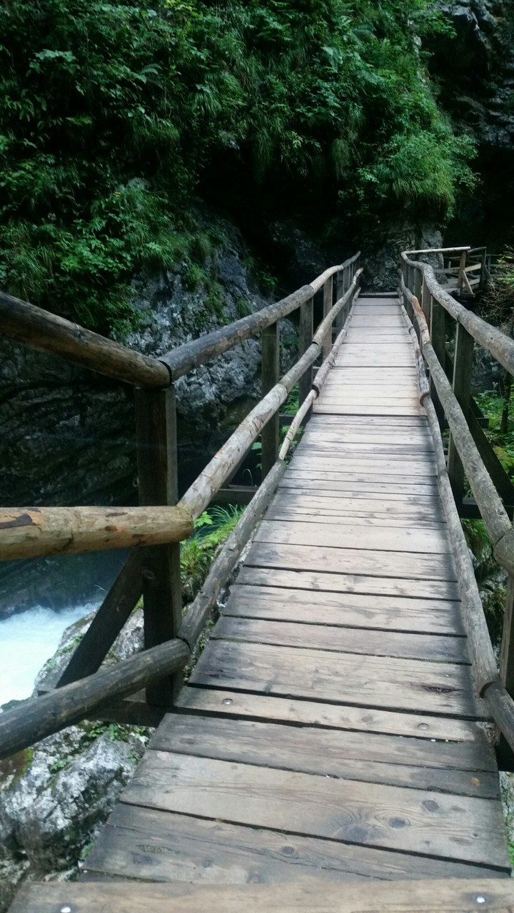 River Bridge