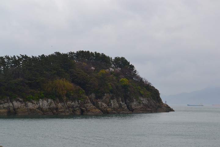 오동도이미지