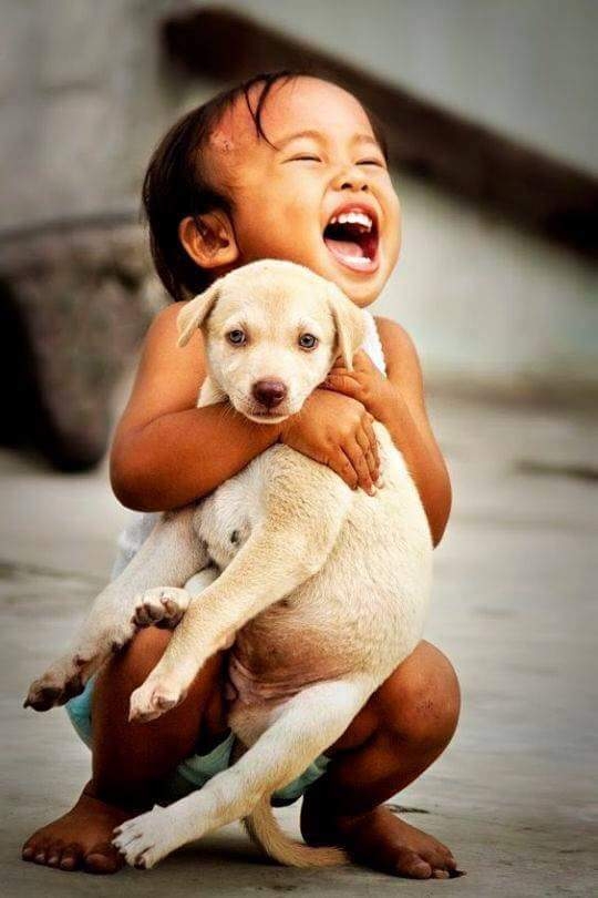 felicidade