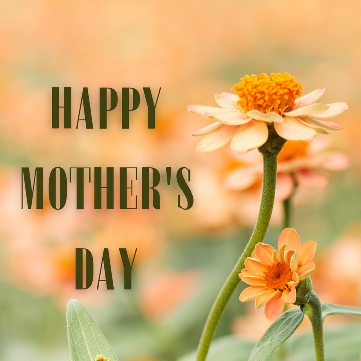 mother's day
