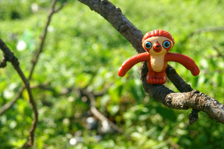toy in the woods