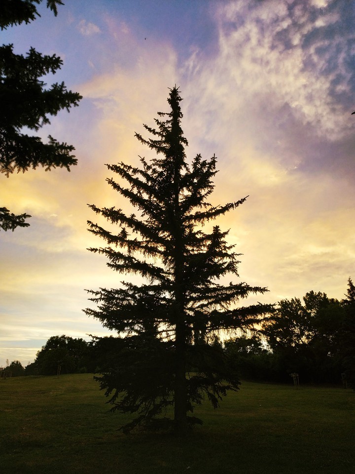 nature