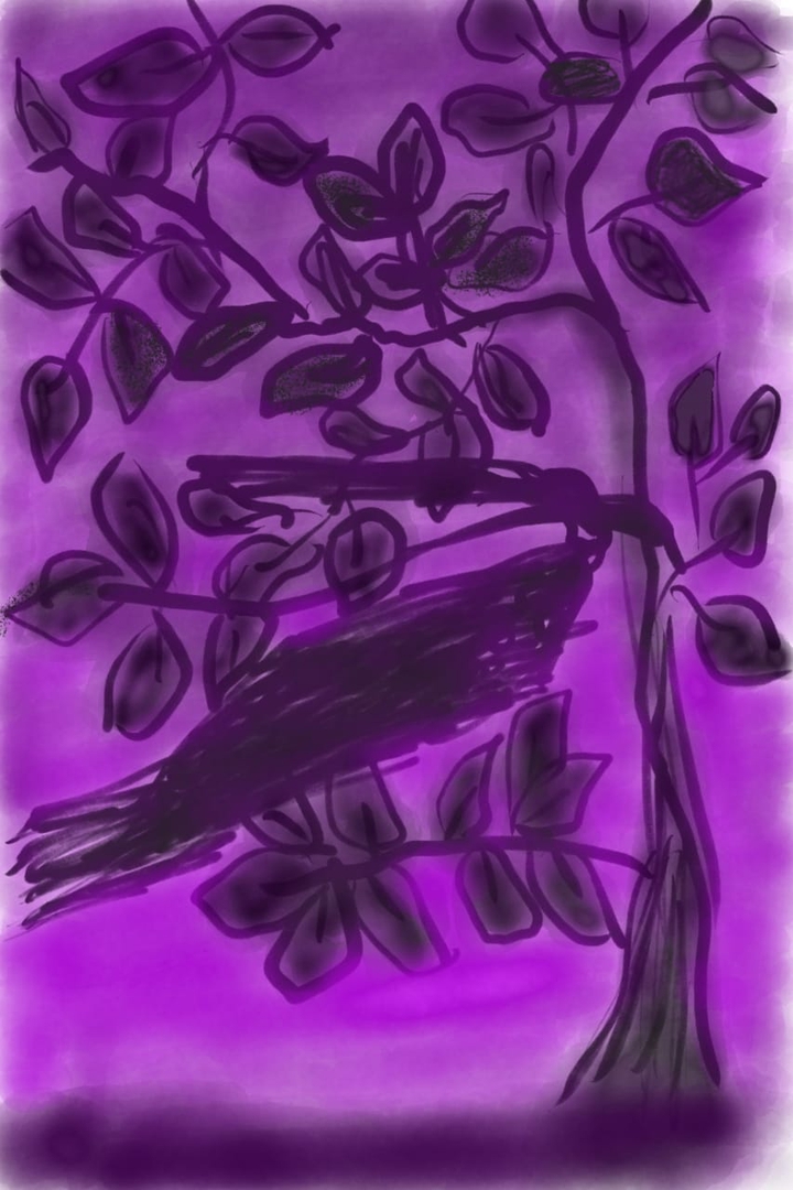 evening purple