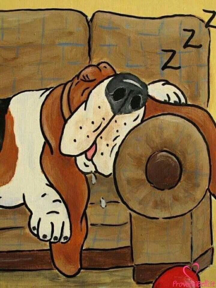que sono