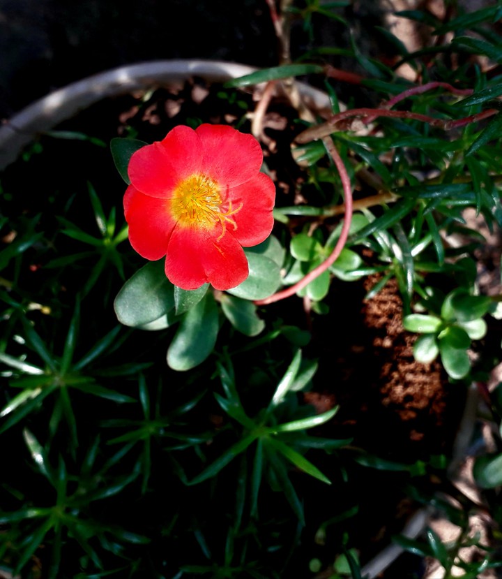 my click