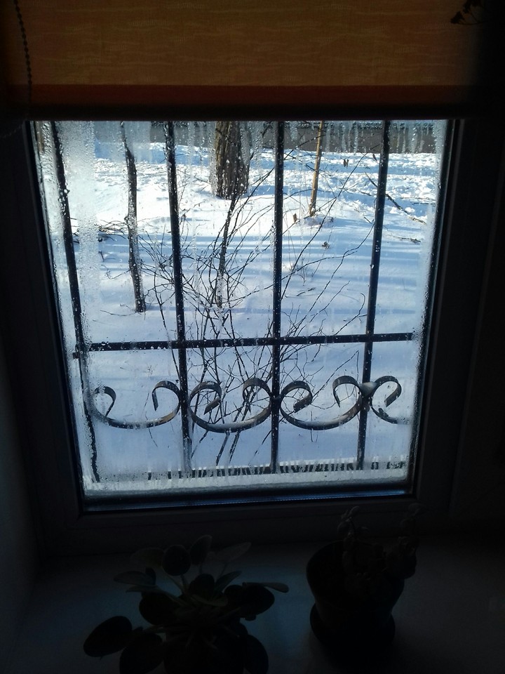 window
