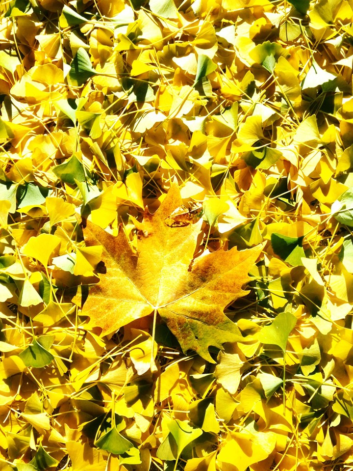 Blessings of autumn