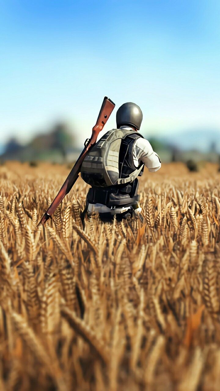 PUBG Wheat Field