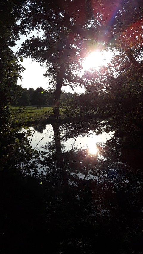 Sunshine