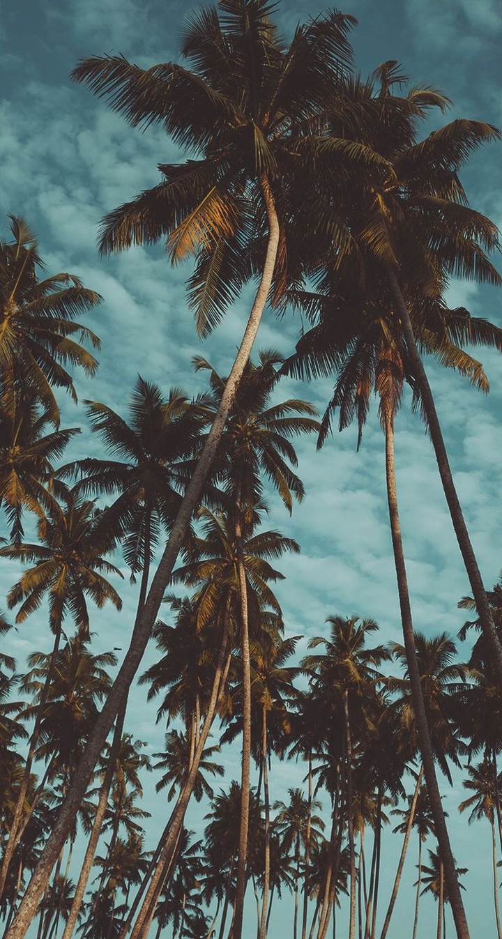 Naturaleza