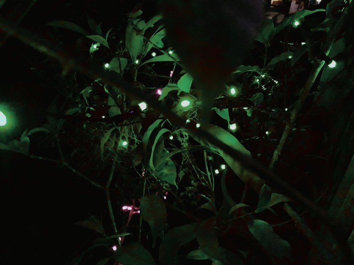 green diwali clean diwali
