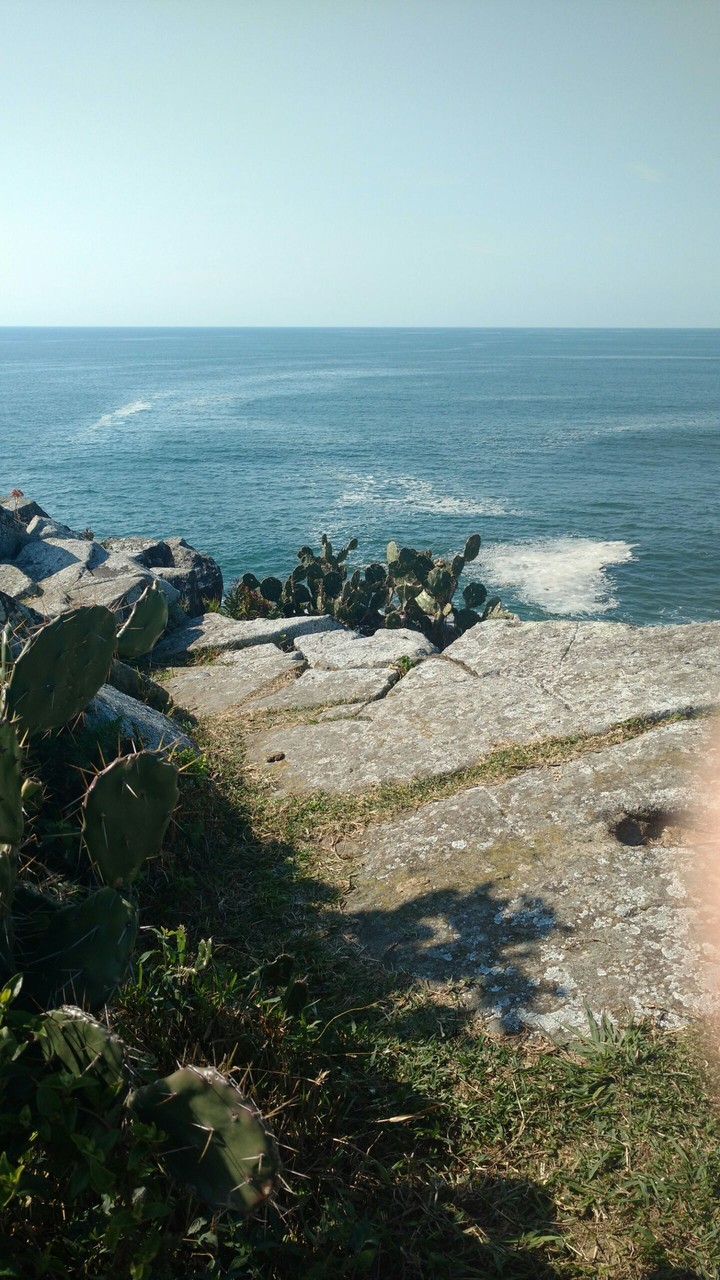 the sea
