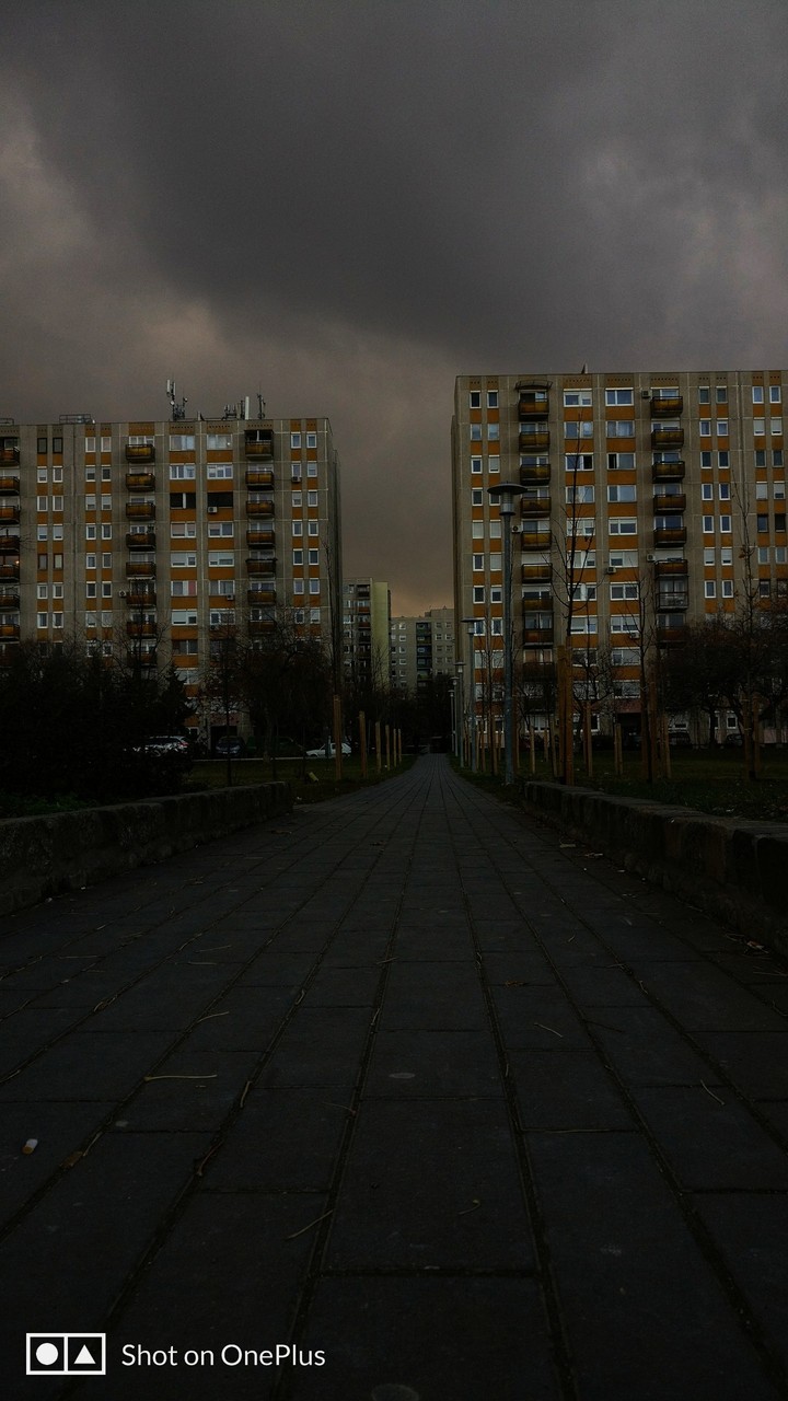 Dark afternoon