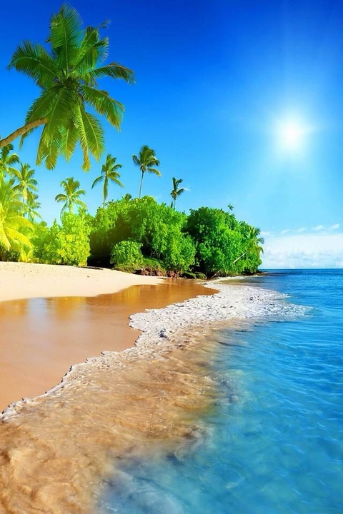 тапети shore, sea