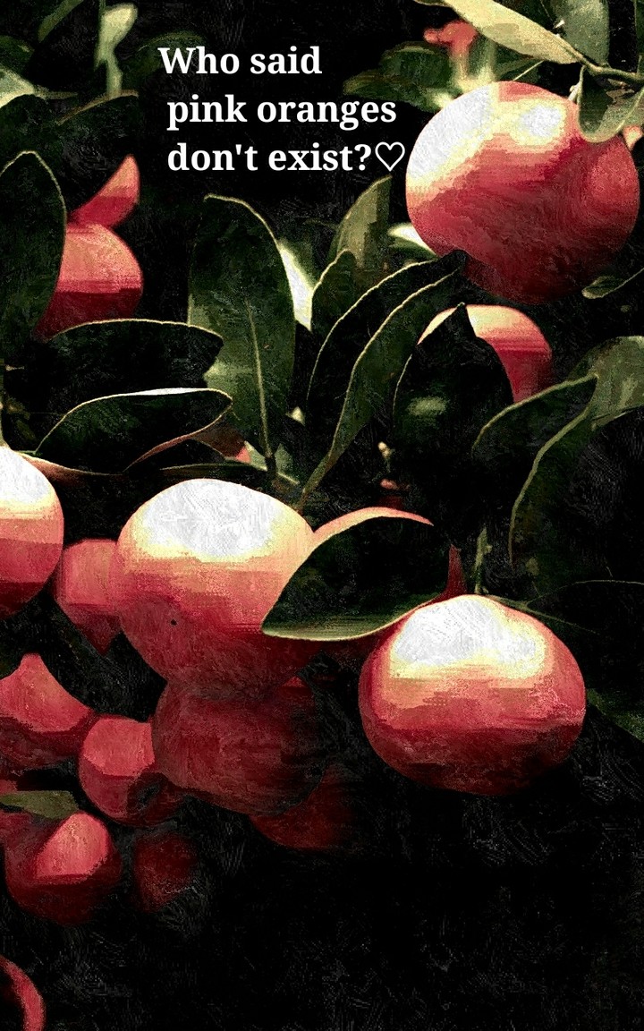 'Who said pink oranges don't exist?♡