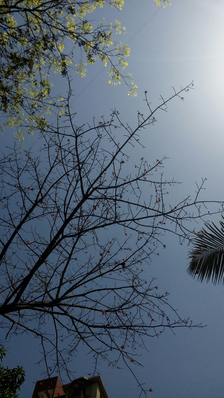 High dry sky