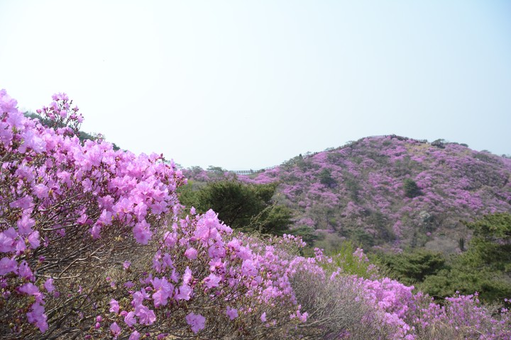 풍경이미지