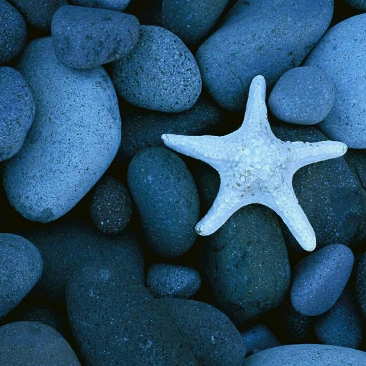 Stones