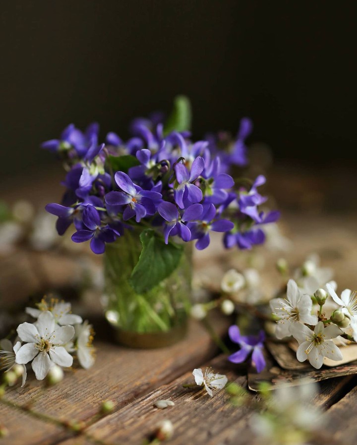 Bouquet