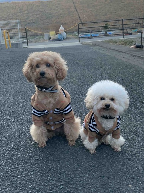 Lucky & Money