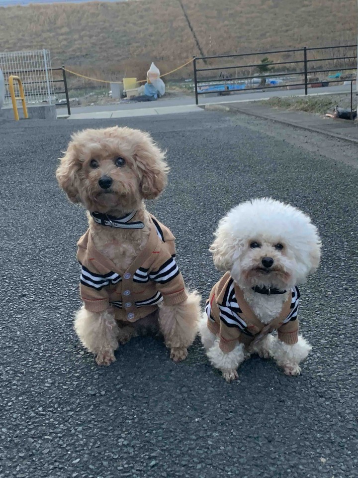 Lucky & Money