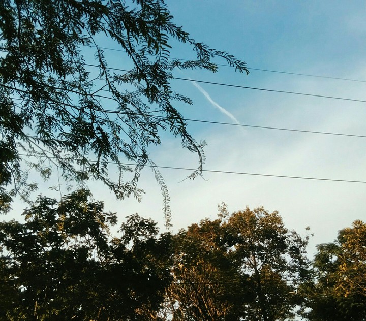 At the bus stop