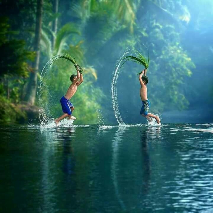 nature