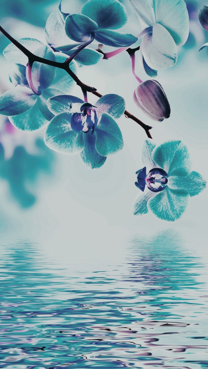 Flowers?