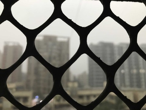 view