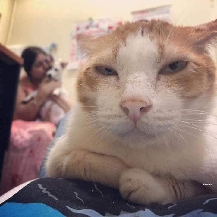 .