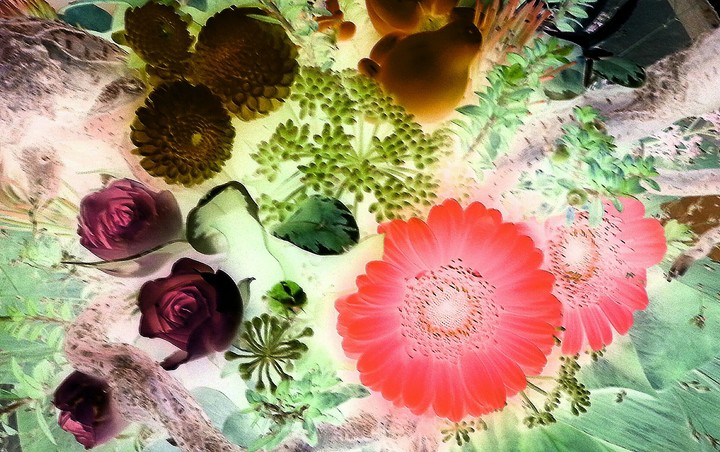 Fantasy Blooms