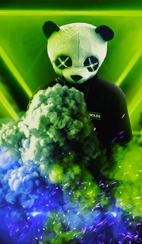 Panda mask man
