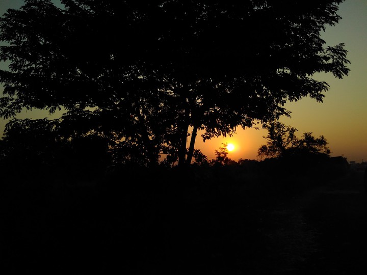 Sun Set