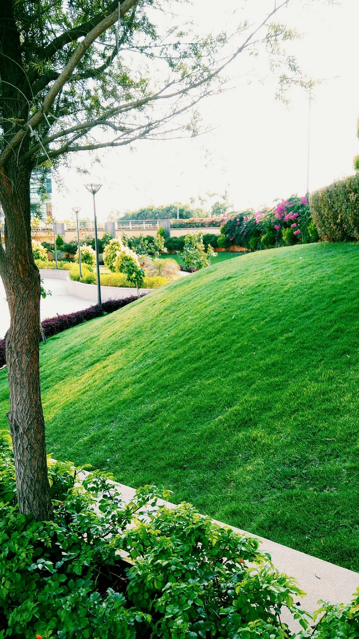 Tech park #2