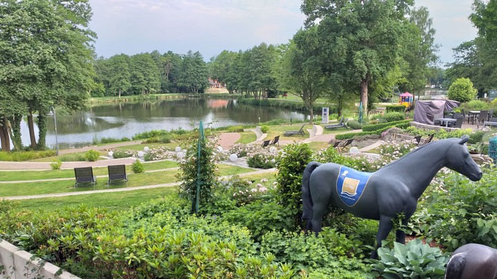 Pferd am See