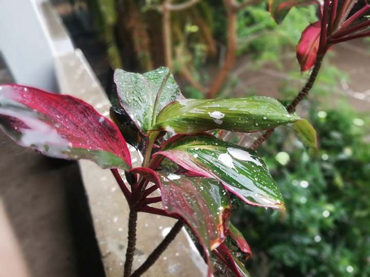 অপেক্ষার পালা শেষ এ
